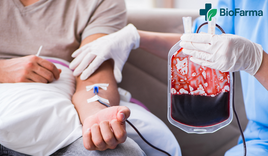 Todo lo que necesitas saber sobre la anemia
