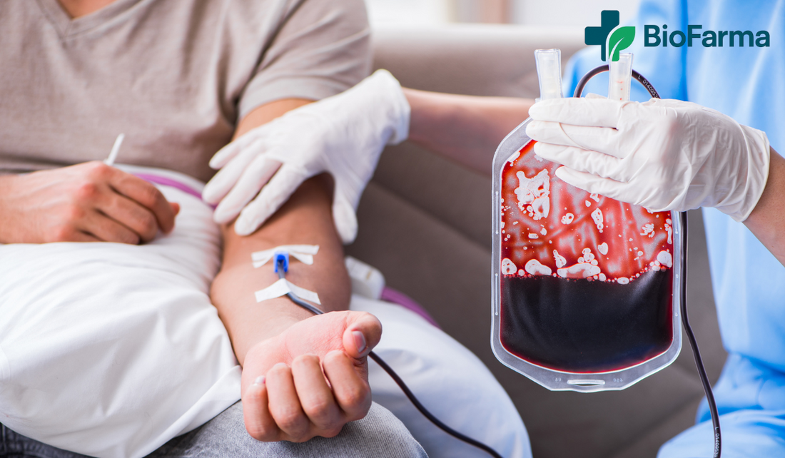 Todo lo que necesitas saber sobre la anemia